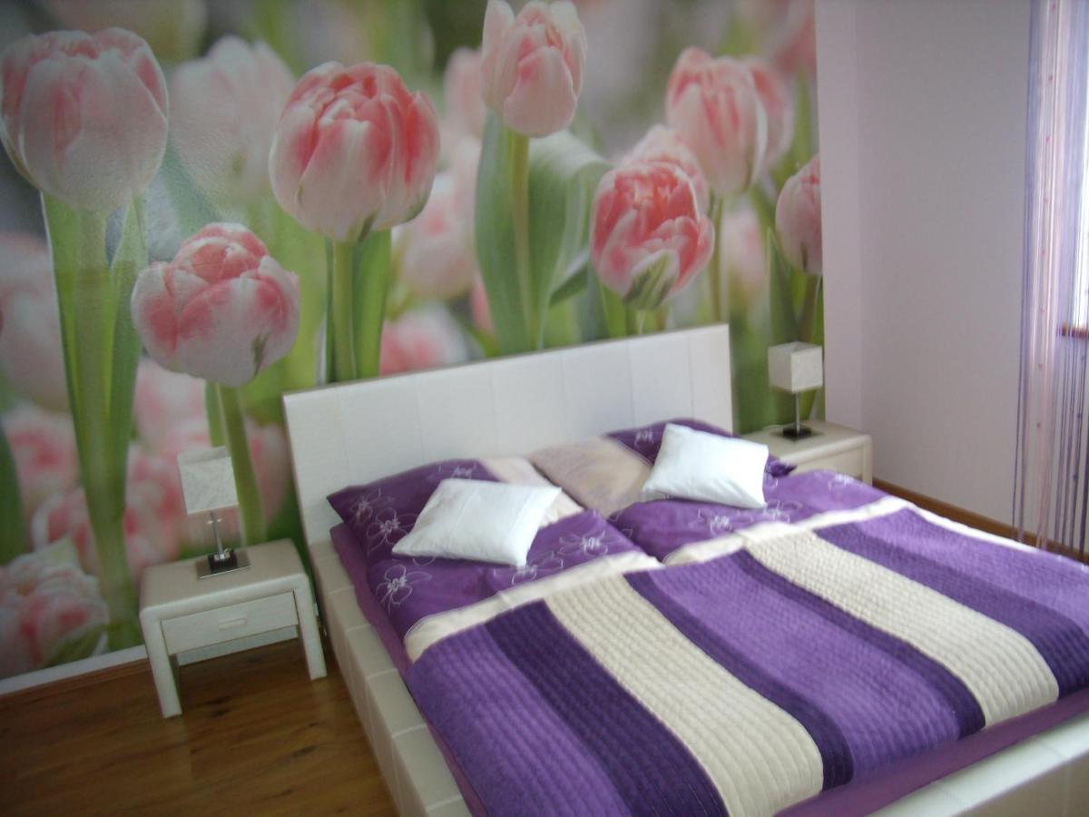 Apartament Nad Lomniczka Karpacz Exterior photo